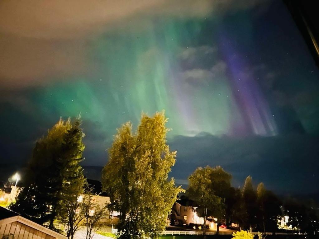 Villaer 10 Min Walk From World Championship Trondheim