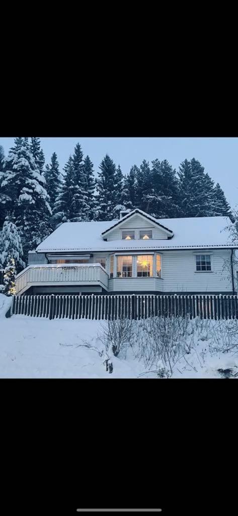 Villaer 10 Min Walk From World Championship Trondheim